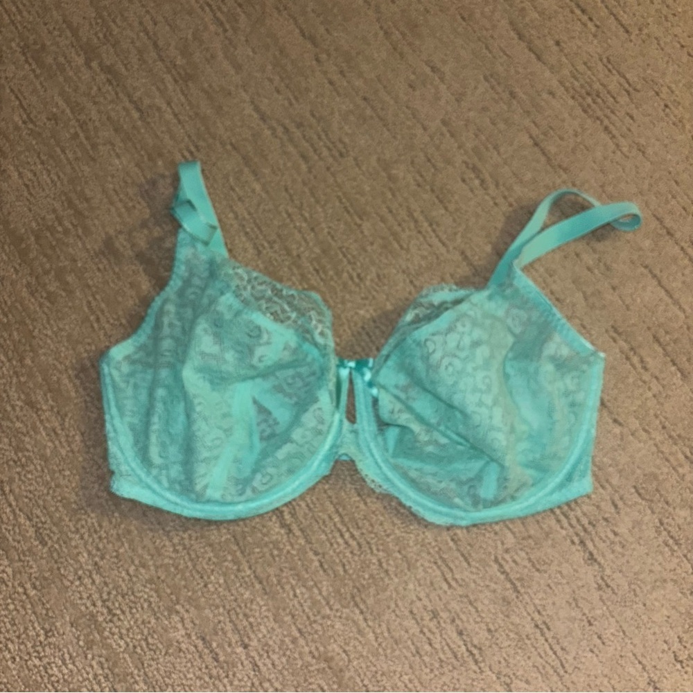Freya Blue/green 34G (uk) Lace Underwire Bra